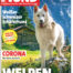 Der Hund im Lesezirkel mieten statt kaufen