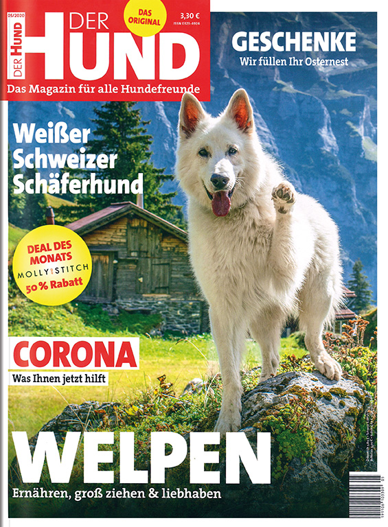 Der Hund im Lesezirkel mieten statt kaufen
