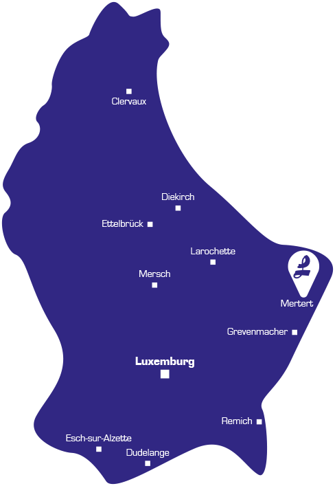 Werbegebiet Letzeburger Liesmapp Karte Luxemburg
